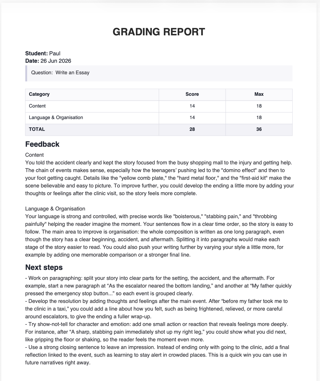 An exported grading report with scores, feedback, and next steps