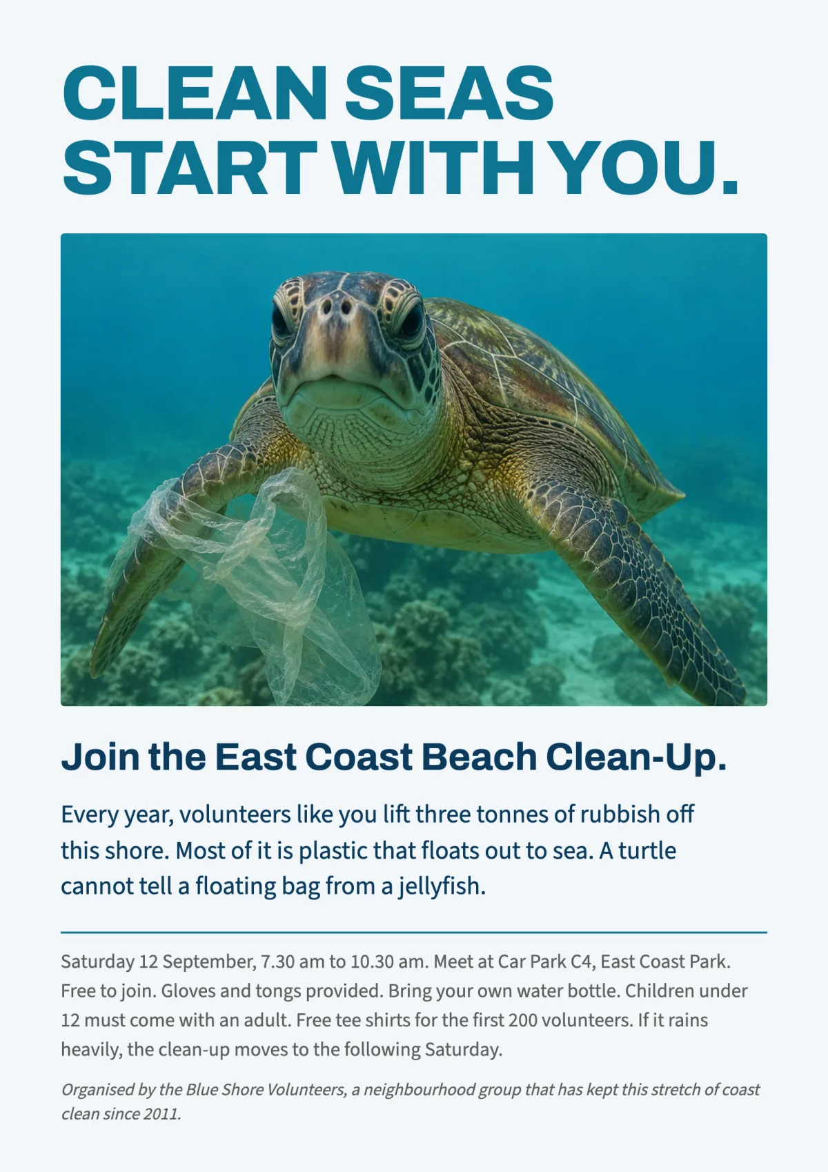 A beach clean-up poster. A green sea turtle with a torn plastic bag round its flipper, under the heading CLEAN SEAS START WITH YOU.